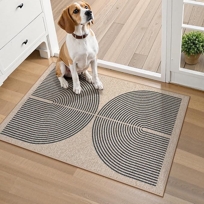 Lahome Enfys Rainbow Easy Jute Rug, 20"x32" Front Door Welcome Mat Non Slip Entry Way Rugs Indoor, Farmhouse Nature Washable Non Shedding Low Pile Floor Carpet for Porch
