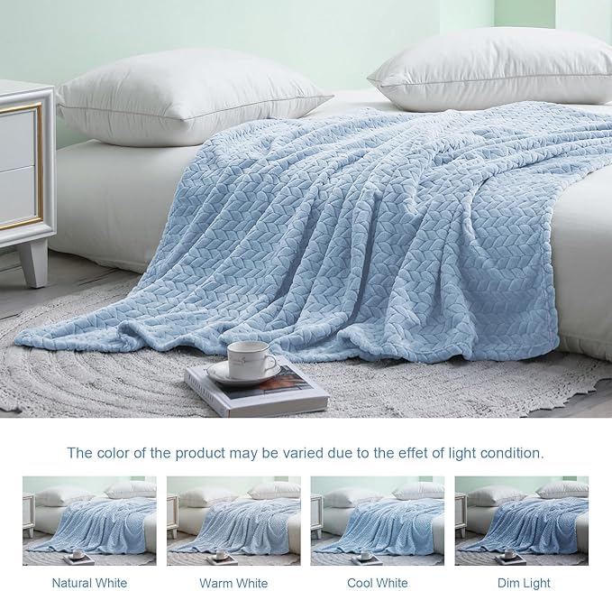 Exclusivo Mezcla Fleece Queen Size Blanket for Bed, 90x90 Inches Soft Cozy Jacquard Flannel Blankets, Lightweight Fuzzy Plush Warm for Women, Light Blue