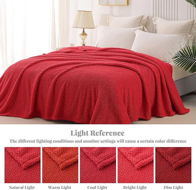 Whale Flotilla Queen Size Fuzzy Fleece Blanket for Bed, 90x90 Inch Fluffy Warm Soft Jacquard Blankets for All Season, Lightweight and Cozy, Red