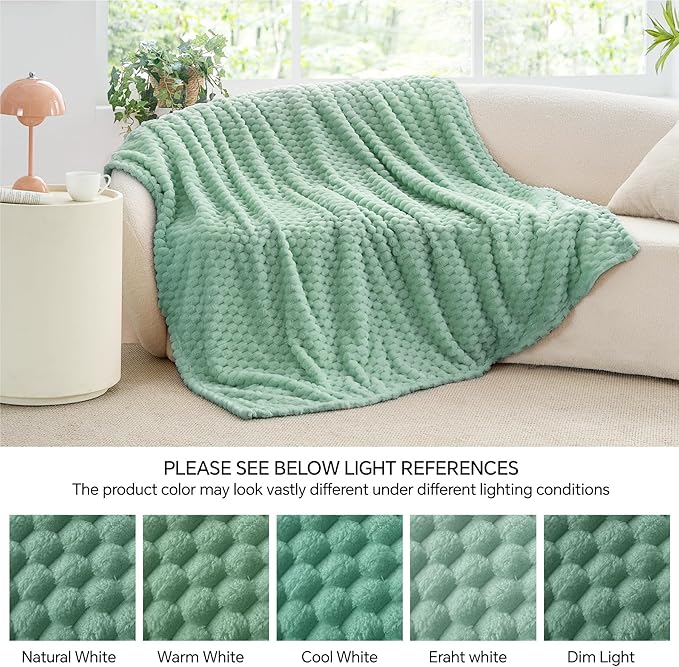 BEDELITE Fleece Throw Blanket for Couch & Bed - 3D Jacquard Decorative Mint Green Blanket, Super Soft and Cozy Warm Fuzzy Blanket All Seasons Suitable, 50x60Inches