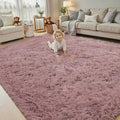 Rugs for Living Room 6x9, Alfombras para Salas Shag Large Plush Soft Area Rug, Shaggy Carpets for Bedroom, Kids Boys Girls Home Decor Aesthetic(Blush, 6 x 9)