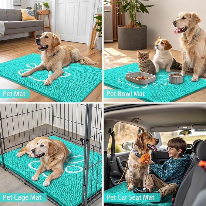 Smiry Dog Door Mat for Muddy Paws, Absorbent Dirt Trapper Non Slip Quick Dry Washable Chenille Mat for Mud Dogs, Entry Rug for Indoor and Outdoor (24x16 Inches, Turquoise and White)