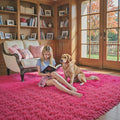 5x8 Rugs for Living Room – 5 X 8, Hot Pink, Alfombras Para Salas Shag