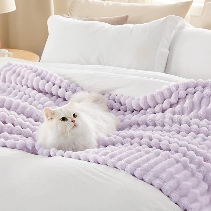 Bedsure GentleSoft Lavender Fog Fleece Blanket for Couch - Cozy Soft Blankets for Women, Cute Small Throws for Girls, 60x80 Inches