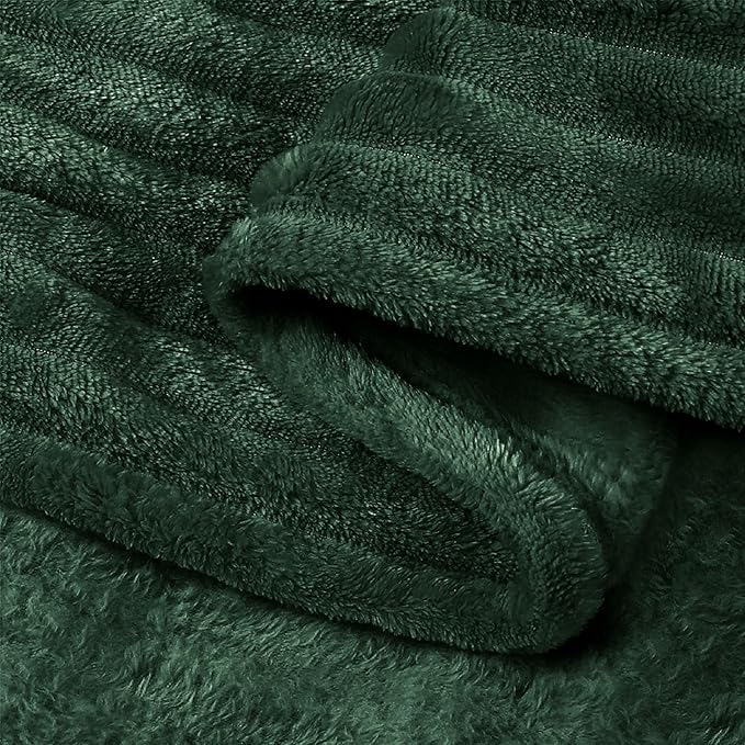 BEDELITE Fleece Blanket Twin Size – 3D Ribbed Jacquard Soft and Warm Decorative Fuzzy Blankets – Cozy, Fluffy, Plush Lightweight Throw Blankets for Couch, Bed, Sofa(Emerland Green, 60x80 inches)