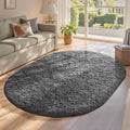 Ophanie 4x6 Oval Grey Rugs for Bedroom Living Room, Fluffy Fuzzy Furry Carpet, Plush Soft Shaggy Bedside Indoor Floor Area Rug for Kids Girls Boys Baby Teen Dorm Nursery Home Decor Aesthetic