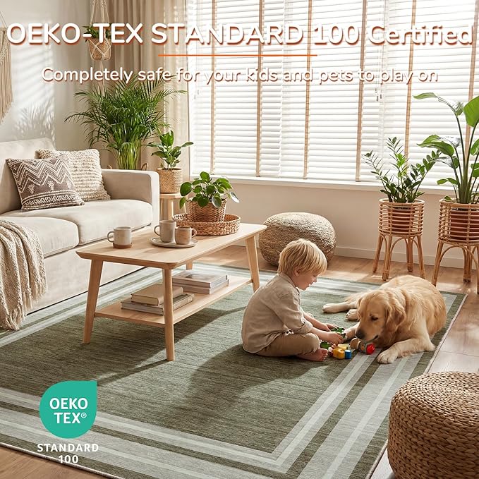 OPPODREAM Border Soft Area Rugs 5x7, Washable Brown Rug with Non Slip Backing, 5 x 7 Faux Cashmere Low-Pile 5x7 Carpet
