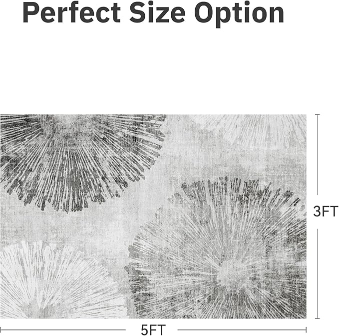 3 x 5 Rug Small Non Slip Area Rug Ultra Soft Machine Washable Low Pile Modern Abstract Dahlia Indoor Carpet Rugs for Bedroom Living Room Entryway Kitchen Bedside, Grey