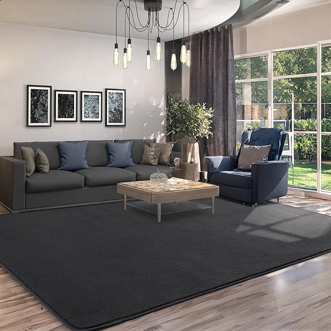 AROGAN Modern Shag Area Rug for Living Room, 5x7 Feet Washable Rugs for Bedroom, Indoor Floor Carpet, Plush Memory Foam Bedside Rugs for Kids Girls Teens Low Pile Rug, Dark Grey