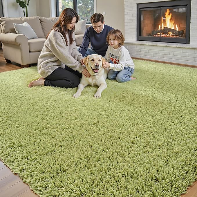 Rugs for Living Room 5x8, Alfombras para Salas Shag Large Plush Soft Area Rug, Shaggy Carpets for Bedroom, Kids Boys Girls Home Decor Aesthetic (Grass Green, 5x8 Feet)