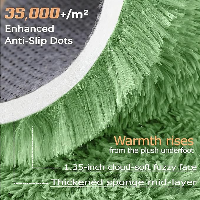 6x9 Area Rug for Living Room: Fluffy Shag Soft Washable Rugs Large Fuzzy Plush Indoor Carpet for Bedroom Nursery Playroom Kids Girls Boys Room (Sage Green, 6'x9')