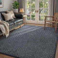 FinRèc 4x6 Washable Area Rugs for Bedroom Living Room, Low Pile Thin Rug Solid Color, Non-Slip Carpet Indoor for Home Decor (Grey)