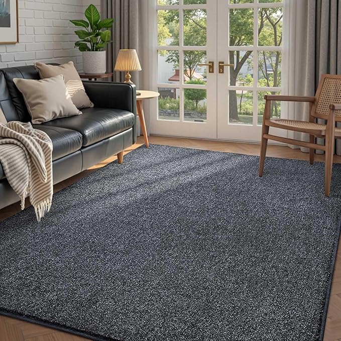 FinRèc 4x6 Washable Area Rugs for Bedroom Living Room, Low Pile Thin Rug Solid Color, Non-Slip Carpet Indoor for Home Decor (Grey)