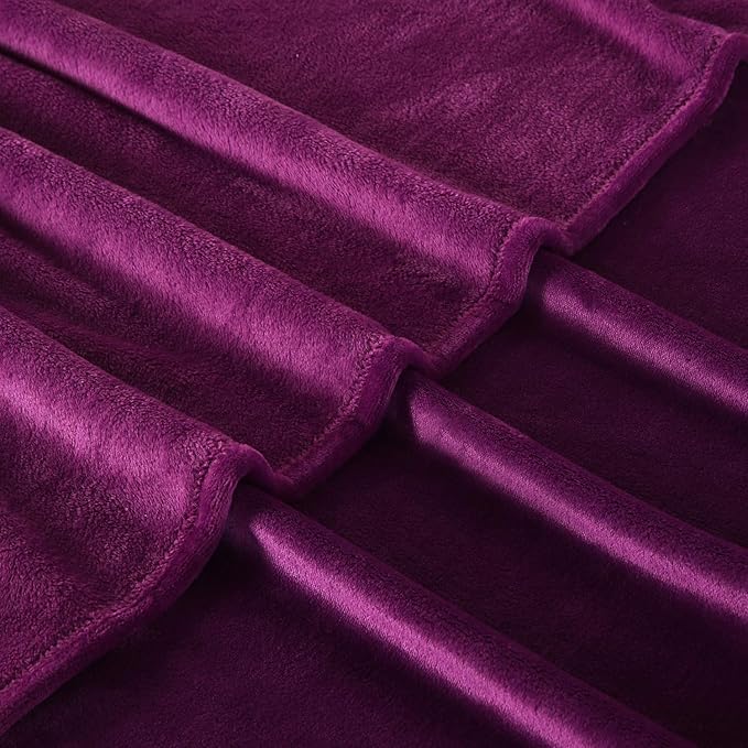 TASTHROW Large Flannel Fleece Throw Blanket, 60×80 Inch - Cozy Lightweight Thick Blanket - All Seasons Suitable for Women, Men and Kids (Purple)