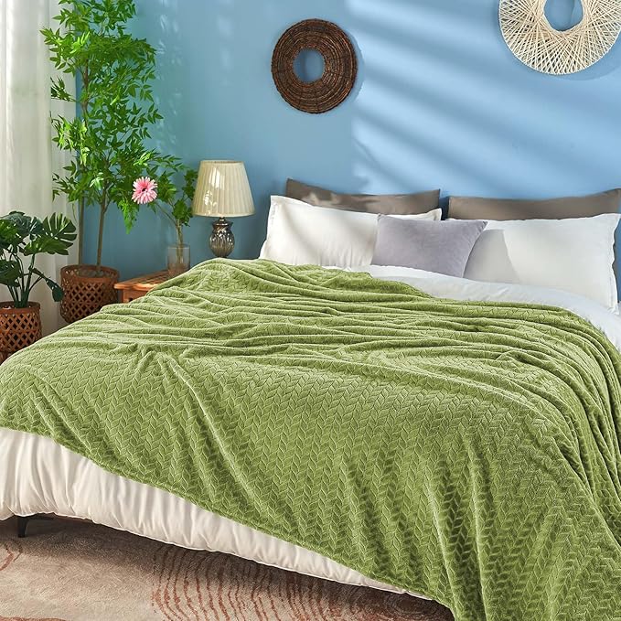 inhand Sage Green Fleece Throw Blanket for Couch, Super Soft Flannel Blanket, Lightweight Fuzzy Blankets Sofa Bed Office, Washable Cozy Plush Fleece Blankets&Throw for All Season(50x60 Inches)