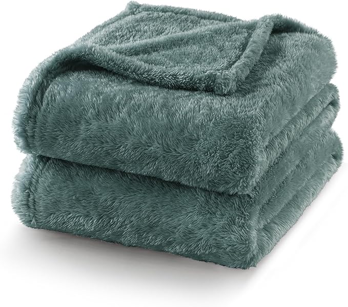 Exclusivo Mezcla Plush Fuzzy Fleece Bed Blanket King Size, Super Soft, Fluffy and Warm Blankets for Couch, Bed, All Season (Celadon, 90x104 inches)