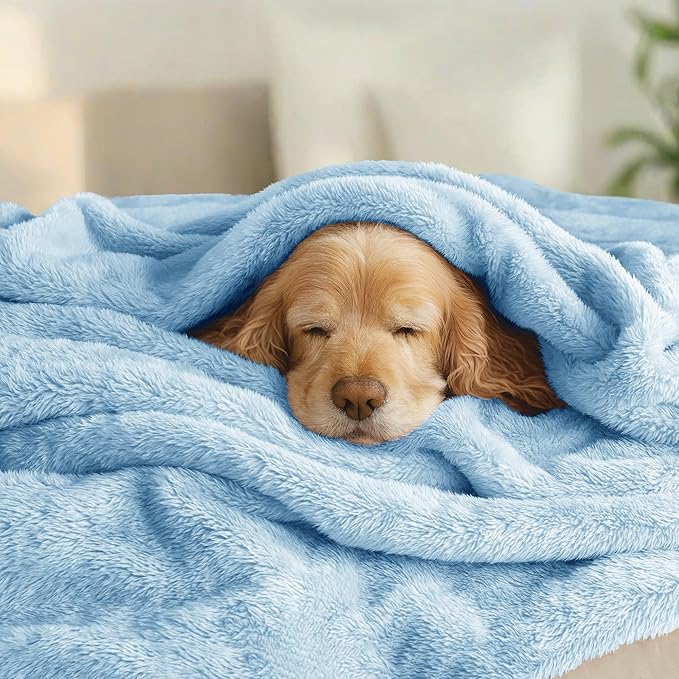 Exclusivo Mezcla Plush Fuzzy Fleece Bed Blanket Twin Size, Super Soft, Fluffy and Warm Blankets for Couch, Bed, All Season (Light Blue, 90x66 Inches)