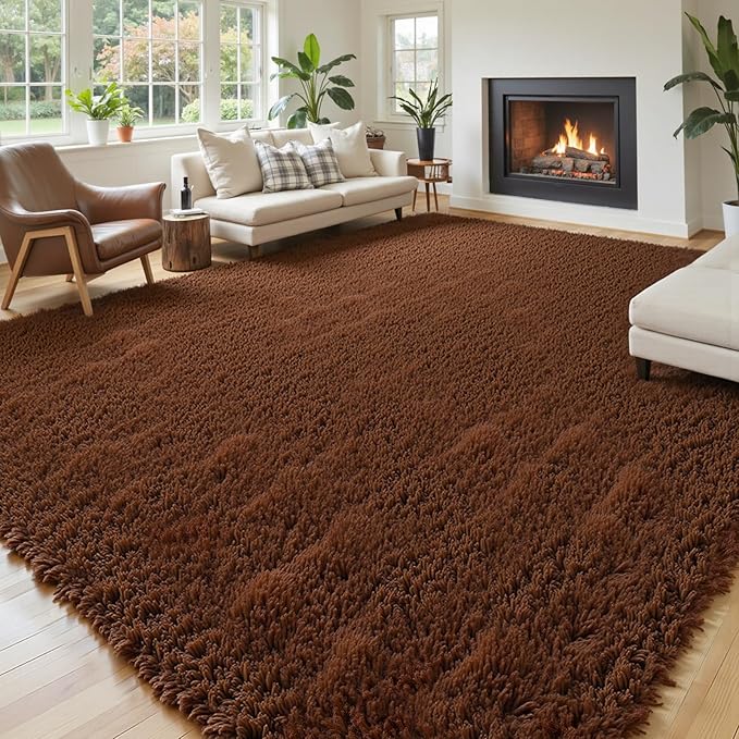 Area Rugs 9x12 Living Room, Shaggy Carpet Soft Plush Furry Bedside Rug Large Area Rugs for Bedroom Kids Girls Boys Home Decor Anti Slip(9 x 12, Coffee)