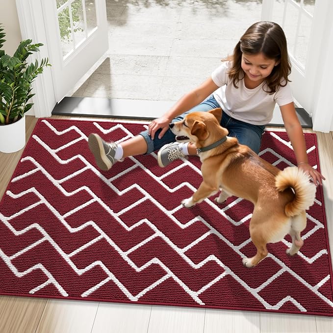 OLANLY Front Door Mat, Non-Slip Rubber Backing, Dirt Resistant and Absorbent, Washable, Easy to Clean Low-Profile Indoor Doormat for Back Door, Entryway, Inside Entrance, 40x32, Burgundy