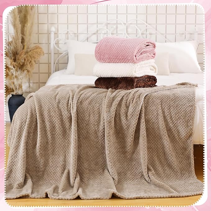 Newwiee 4 Pcs Flanne Fleece Throw Blanket for Bed Couch Large 3D Waffle Textured Soft Blanket Winter Warm Lightweight No Shedding No Pilling Decorative Throw, 50x60 Inch(Graceful Color)