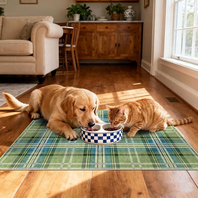 Buffalo Outdoor Rug - 28" x 43" Front Door Mat Indoor Outside Entrance Non-Slip Washable Outdoor Mat Green Teal Plaid Tartan Rug for Entryway Kitchen Bedroom Layered Doormat for Front Porch