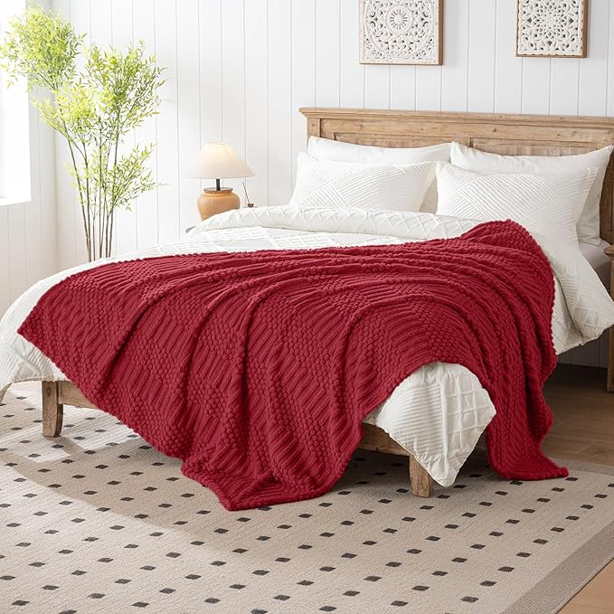 50x70 Inch Red Throw Blanket - Soft & Fluffy Fleece, Cute & Aesthetic, Perfect for Sofa, Couch, Chair, Bed, Living Room & Bedroom, All-Season Use, Plush & Cozy Decorative Blanket
