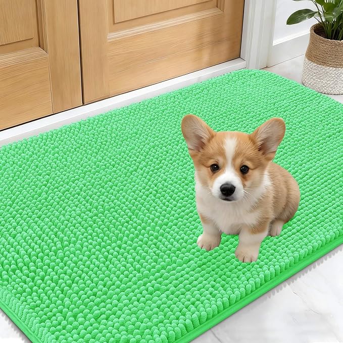 OLANLY Dog Door Mat for Muddy Paws 24x16, Absorbs Moisture and Dirt, Absorbent Non-Slip Washable Doormat, Quick Dry Chenille Mud Mat for Dogs, Entry Indoor Entryway Carpet for Inside Floor, Mint Green