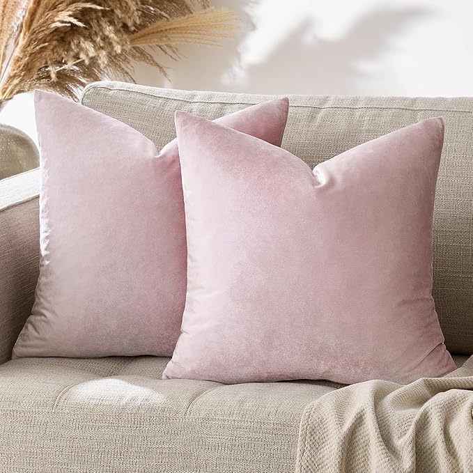 GIGIZAZA Decor Throw Couch Pillow Covers,Set of 2 Sweet Lilac Sofa Cushion Pillow Covers,Velvet Pillow Cases 24x24inch