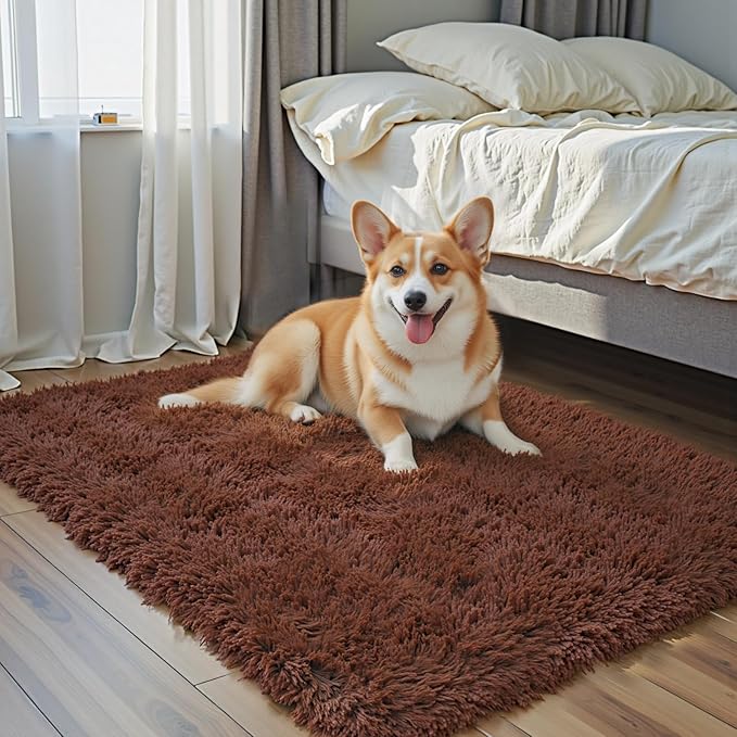 Small Rugs for Bedroom 2x3, Soft Area Rug for Living Room Dorm, Non Slip Shag Rugs for Girls Boys Bedroom, Soft Kids Carpet, Modern Home Decor Aesthetic(Coffee, 2 x 3)