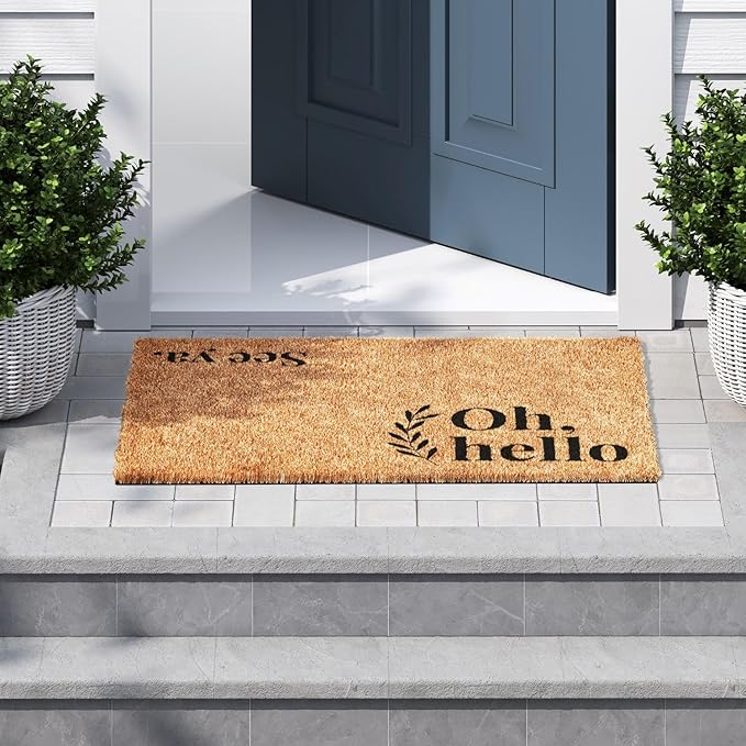 Barnyard Designs Doormat Welcome Mat for Outdoors, Large Front Door Entrance Mat, Brown (Oh Hello, 36x24)