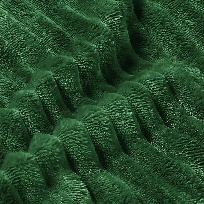BEDELITE Fleece Blanket Queen Size – 3D Ribbed Jacquard Soft and Warm Decorative Fuzzy Blankets – Cozy, Fluffy, Plush Lightweight Throw Blankets for Couch, Bed, Sofa(Green, 90x90 inches)