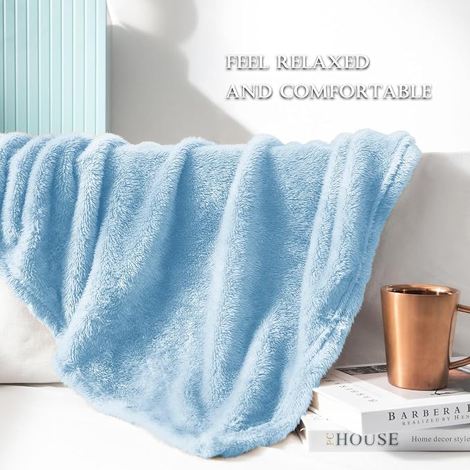 Exclusivo Mezcla Plush Fuzzy Fleece Bed Blanket King Size, Super Soft, Fluffy and Warm Blankets for Couch, Bed, All Season (Light Blue, 90x104 Inches)