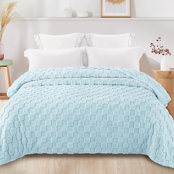 Exclusivo Mezcla Queen Size Flannel Fleece Blanket, Super Soft and Warm Lightweight Checkered Pattern Blankets for All Seasons, 90x90 Inches, Light Blue