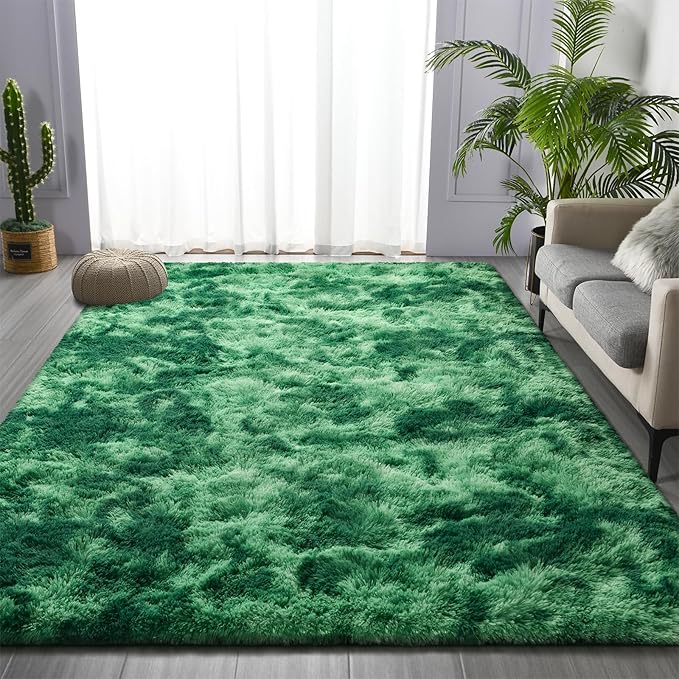 Shag Area Rug, 4 X 6 Tie-Dyed Plush Fuzzy Rugs for Living Room, Ultra Soft Fluffy Furry Rug for Bedroom, Indoor Carpet Nursery Rugs for Kids Room Home Decor, Tie-Dyed Emerald Green