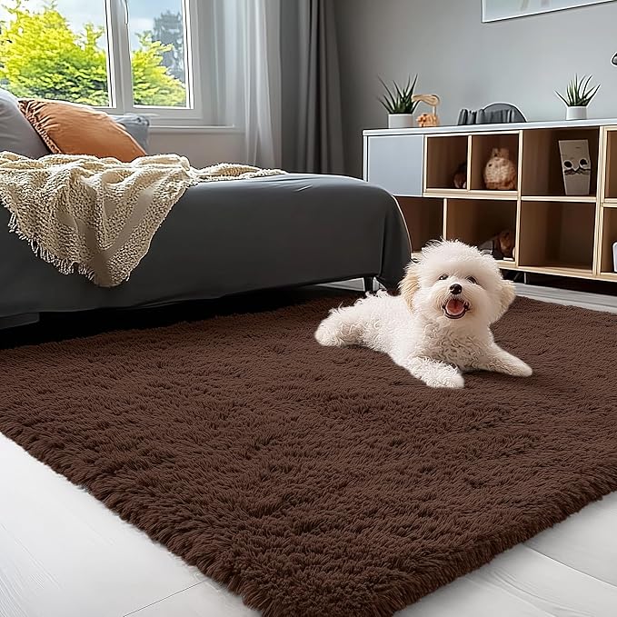 OLANLY 3x4 Machine Washable Accent Rug, Soft Fluffy Shaggy Area Rug for Bedroom, Living Room, Indoor Floor Carpet for Kids, Nursery, Home Decor, Coffee