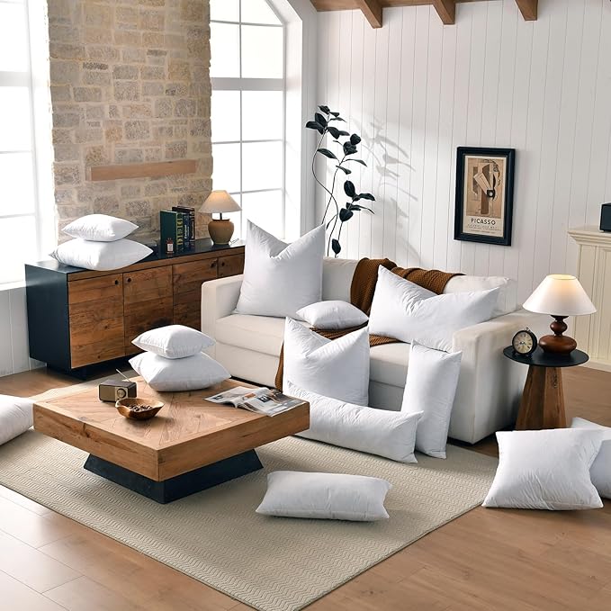 Pillow Inserts - 22x22 White Feather Throw Pillow Inserts, Set of 2