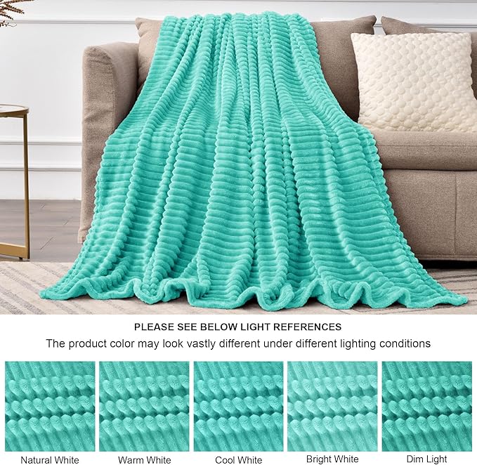 BEDELITE Fleece Throw Blanket for Couch – 3D Ribbed Jacquard Soft and Warm Decorative Fuzzy Blanket – Cozy, Fluffy, Plush Lightweight Aqua Throw Blankets for Bed, Sofa, 50x60 inches