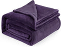 Bedsure GentleSoft Purple Fleece Blankets King Size - Bed Blanket Soft Lightweight Plush Cozy Fuzzy Luxury Microfiber, 108x90 inches