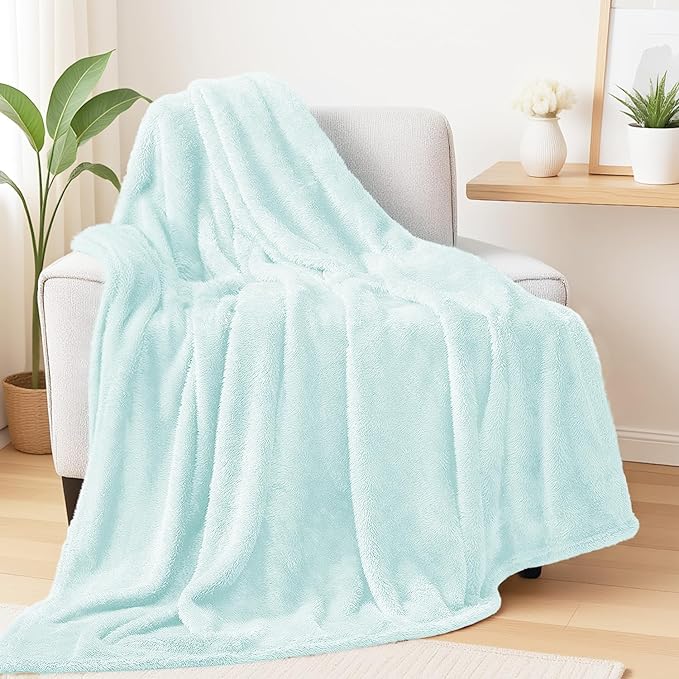Exclusivo Mezcla Plush Fuzzy Fleece Throw Blanket Extra Large, Super Soft, Fluffy and Warm Blankets for Couch, Bed, All Season (Mint Green, 50x70 inches)
