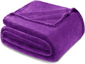 Exclusivo Mezcla Fleece Blanket Twin Size for Bed, Super Soft and Warm, All Season, Cozy, Plush, Lightweight, 60x80 Inches Purple