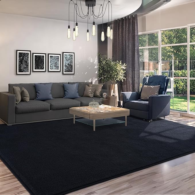 AROGAN Modern Shag Area Rug for Living Room, 5x7 Feet Washable Rugs for Bedroom, Indoor Floor Carpet Rugs, Plush Memory Foam Bedside for Kids Girls Teens Room Low Pile Rug Decor, Black