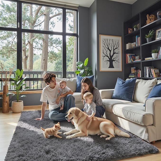 Rugs for Bedroom 4x6, Alfombras para Salas Shag Large Plush Soft Area Rug, Shaggy Carpets for Livingroom, Kids Boys Girls Home Decor Aesthetic(Dark Grey, 4 x 6)