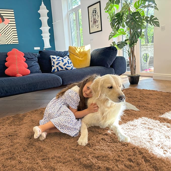 OLANLY 5x8 Machine Washable Large Area Rugs for Living Room, Bedroom, Soft Fluffy Shaggy Bedside Rug, Indoor Floor Carpet for Kids Girls and Boys, Dorms, Nursery, Home Decor Aesthetic, Khaki