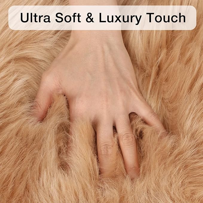 duduta Beige Faux Sheepskin Throw Rug 2x3 ft, Small Fluffy Shag Fur Rug for Bedroom Kids Room Dorm Decor Chair Covers Non Slip