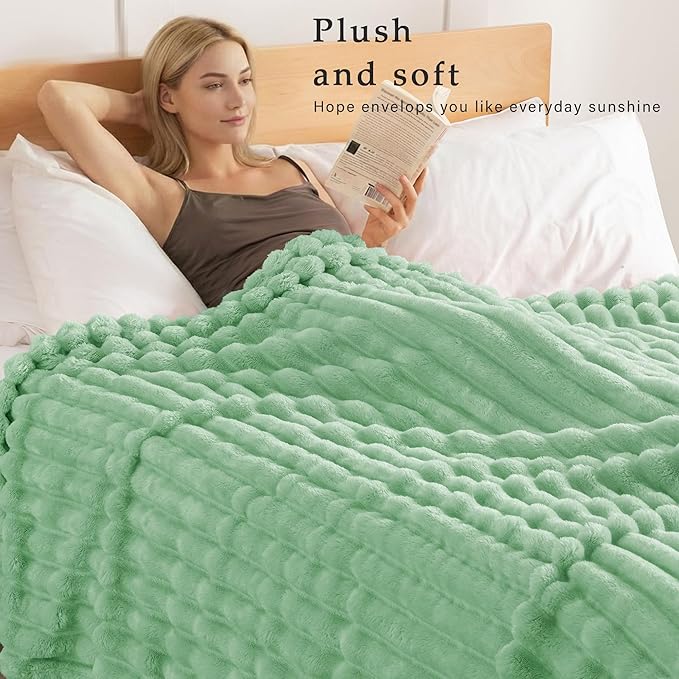 Exclusivo Mezcla Twin Size Flannel Fleece Blanket, Super Soft Striped Jacquard Bed Blanket, Lightweight Fuzzy Cozy for All Seasons, 60x80 Inches, Sage Green