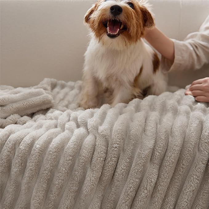 Bedsure GentleSoft Blankets Queen Size for Bed - Cozy Soft Blankets for Women, Cute Large Fleece Throws for Girls, Beige, 90x90 Inches