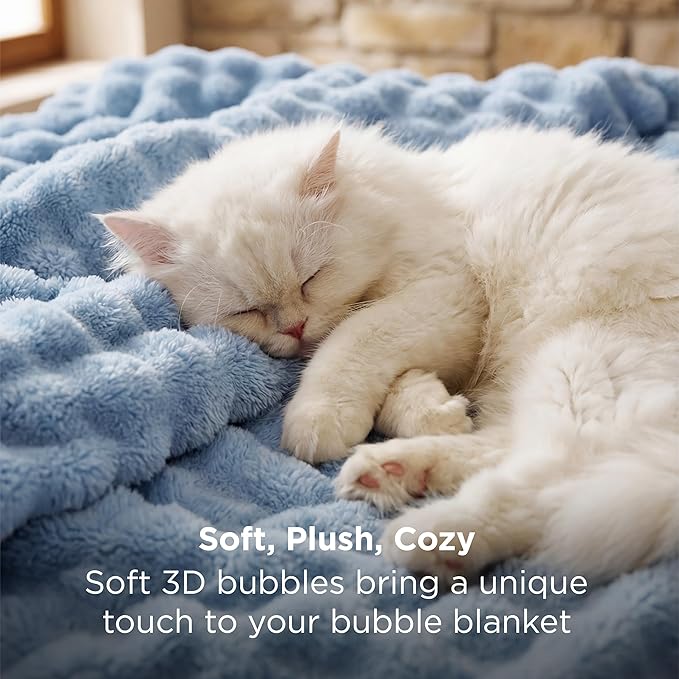 Bedsure 3D Fleece Bubble Blanket - GentleSoft Blue Queen Blanket for for Bed Sofa Room Decor - Luxury Soft Cozy Spring Gifts for Kids Girls, Lightweight, All Seasons, Celestial Blue, 90"×90"