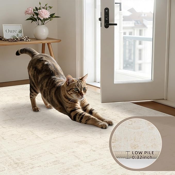 6x9 Area Rugs for Living Room: Vintage Boho Neutral Washable Rug Indoor Soft Large Area Rug Carpet for Bedroom Nursery Farmhouse Dining Room Office Floor Non-Slip Low Pile Under Table Rug Dark Beige