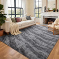 Area Rugs for Living Room, Tie-Dyed 6x9 Feet Soft Fluffy Shagg Plush Rug High Pile Large Indoor Modern Non-Slip Floor Carpet for Bedroom Nursery Kids Home Room Dorm Decor Aesthetic Grey