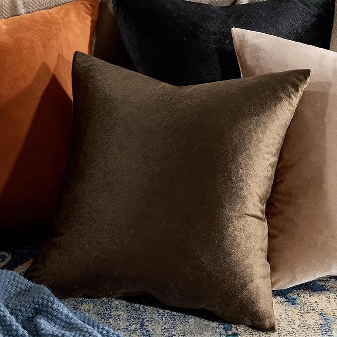 GIGIZAZA Brown Velvet Pillow Covers 20x20,Square Solid Throw Pillow Covers Decorative Modern Pillows Big Vintage Cases for Couch Pack of 2